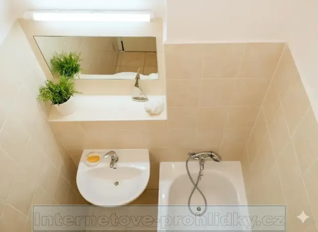 Pronájem pokoje, Praha - Břevnov, Bělohorská, 17 m2