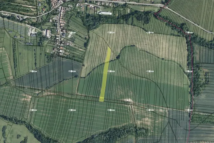 Prodej pole, Osvětimany, 7927 m2