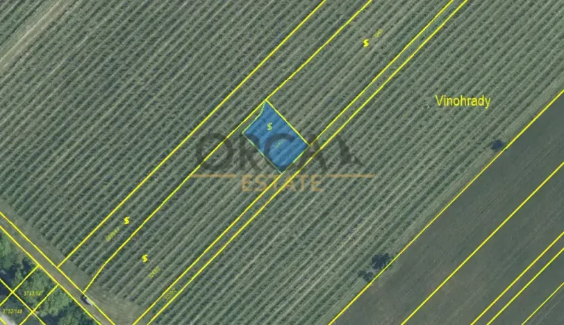 Prodej louky, Hustopeče, 6595 m2