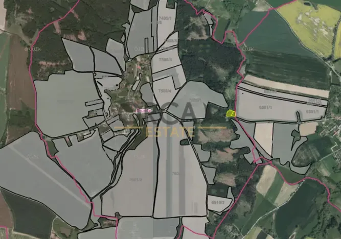 Prodej louky, Drunče, 4095 m2