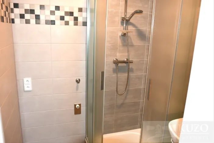 Pronájem bytu 2+1, Plzeň, Dvořákova, 62 m2