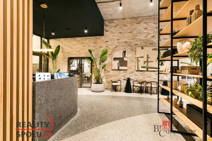 Pronájem bytu 1+kk, Brno - Zábrdovice, Bratislavská, 23 m2