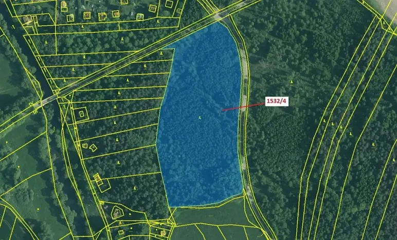 Dražba lesa, Římov, 34065 m2