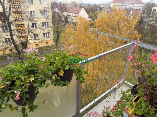 Prodej bytu 3+1, Žatec, Hájkova, 61 m2