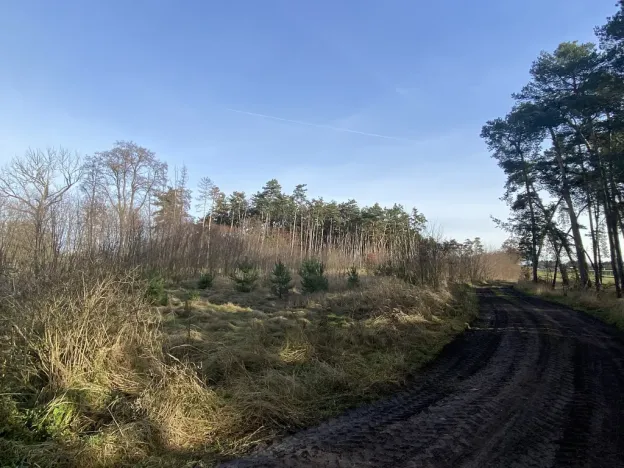 Prodej lesa, Kostelní Lhota, 9438 m2