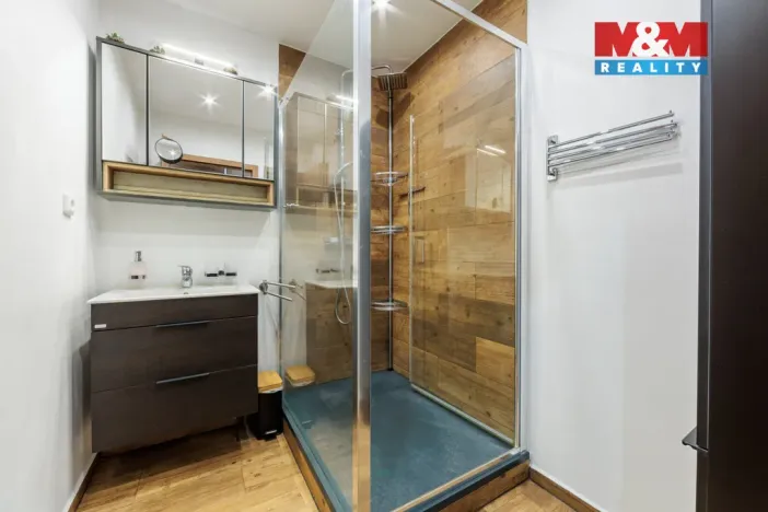 Pronájem bytu 3+kk, Březová, Hlavní, 65 m2