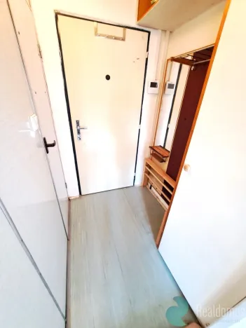 Pronájem bytu 1+kk, České Budějovice, Plzeňská, 23 m2