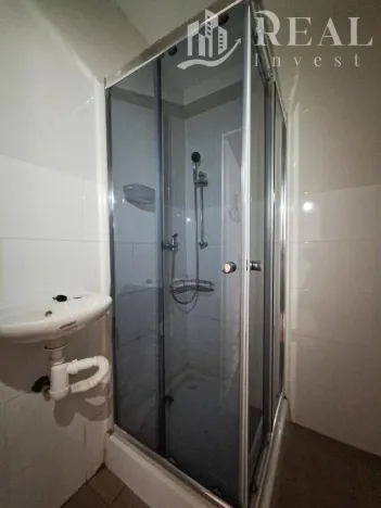 Prodej bytu 2+1, Bílina - Teplické Předměstí, M. Švabinského, 55 m2