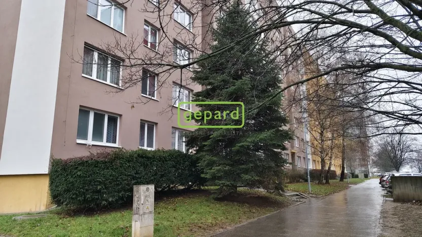 Pronájem bytu 2+kk, Brno - Židenice, Mutěnická, 39 m2