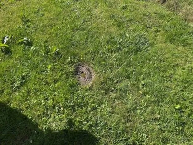 Dražba rodinného domu, Chodová Planá - Boněnov, 122 m2