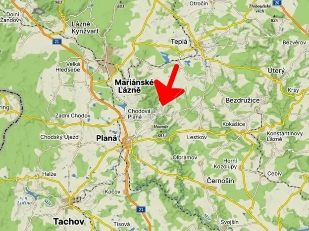 Dražba rodinného domu, Chodová Planá - Boněnov, 122 m2