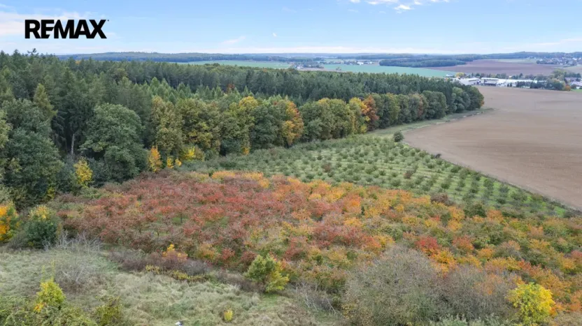 Prodej pozemku pro bydlení, Těchlovice, 24402 m2