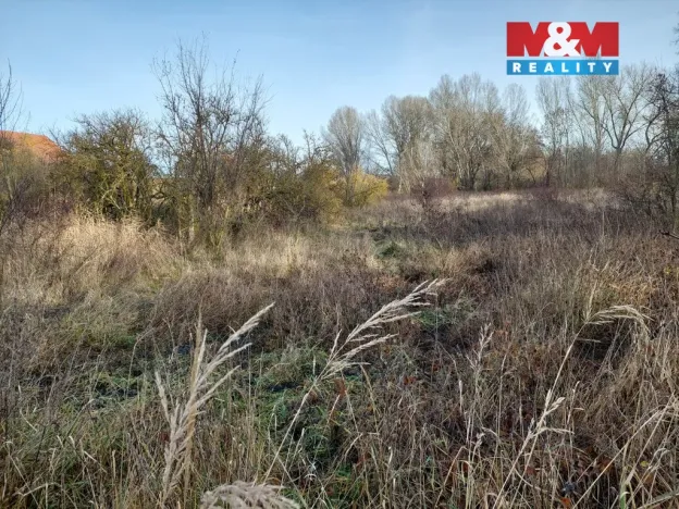 Prodej zemědělské usedlosti, Třebovle - Miškovice, 500 m2