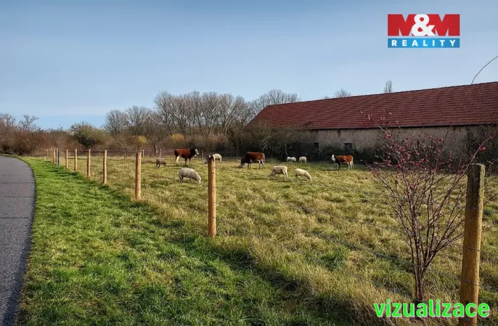 Prodej zemědělské usedlosti, Třebovle - Miškovice, 500 m2