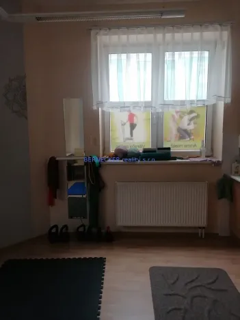 Pronájem komerční nemovitosti, Pardubice - Zelené Předměstí, nábřeží Závodu míru, 15 m2