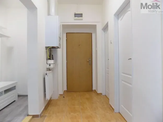 Pronájem bytu 2+1, Teplice, U Hadích lázní, 53 m2