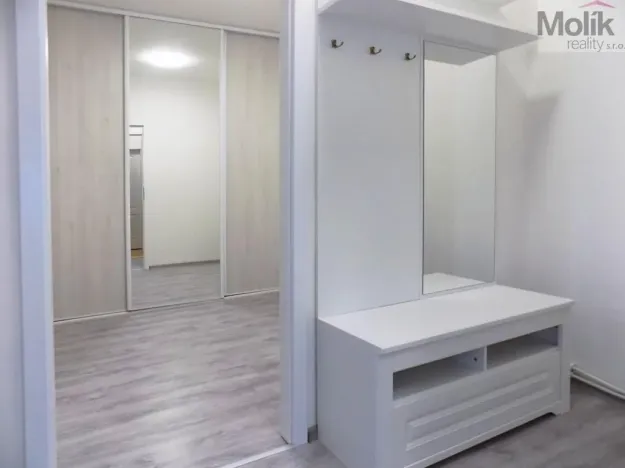 Pronájem bytu 2+1, Teplice, U Hadích lázní, 53 m2