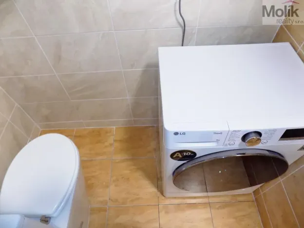 Pronájem bytu 2+1, Teplice, U Hadích lázní, 53 m2