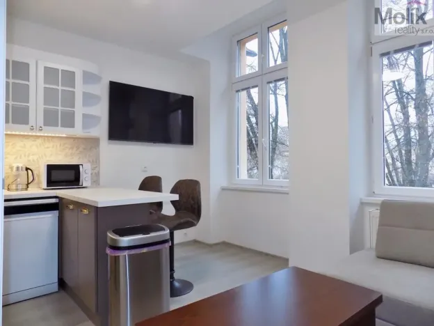 Pronájem bytu 2+1, Teplice, U Hadích lázní, 53 m2