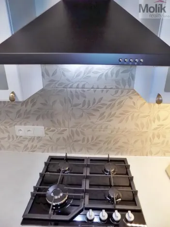 Pronájem bytu 2+1, Teplice, U Hadích lázní, 53 m2