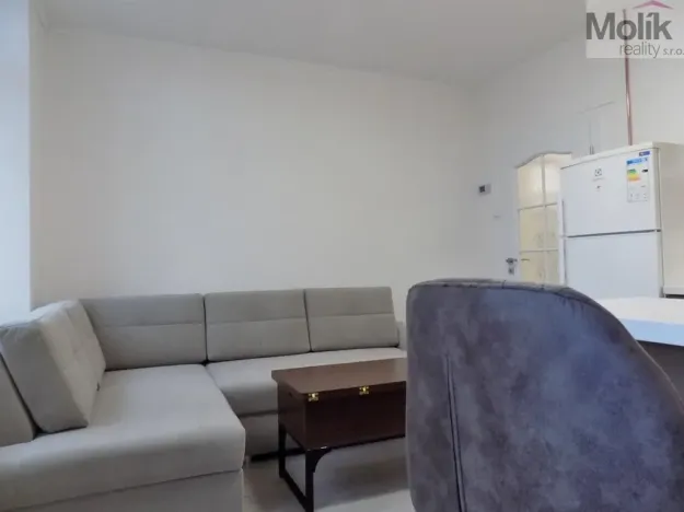 Pronájem bytu 2+1, Teplice, U Hadích lázní, 53 m2