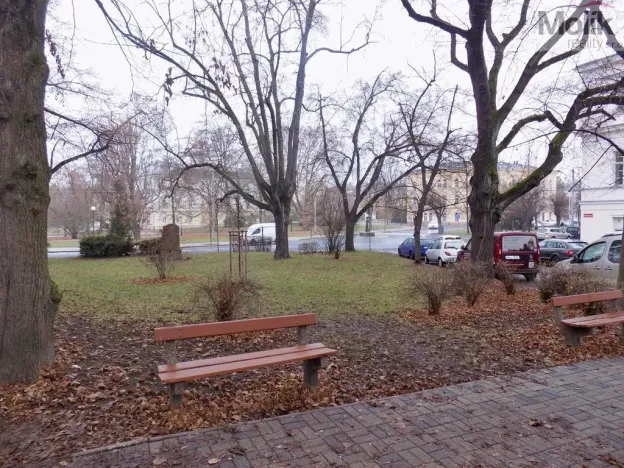 Pronájem bytu 2+1, Teplice, U Hadích lázní, 53 m2