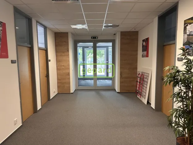 Pronájem kanceláře, Brno, Kořenského, 130 m2