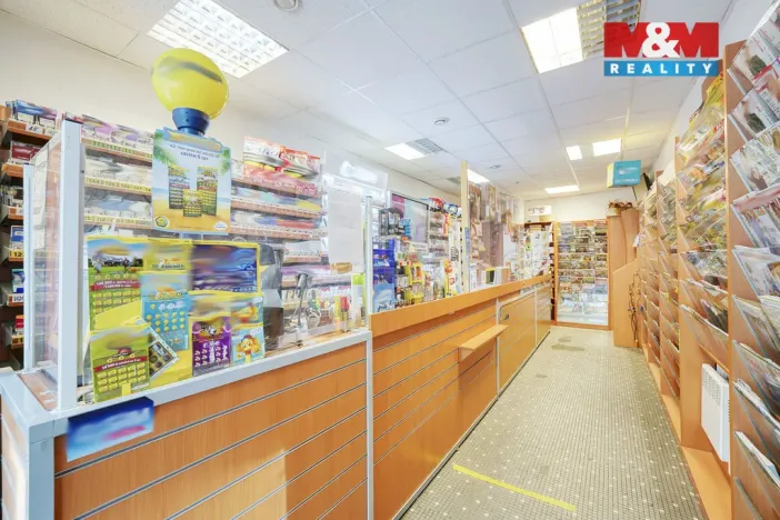 Pronájem obchodního prostoru, Plzeň - Jižní Předměstí, Goethova, 33 m2