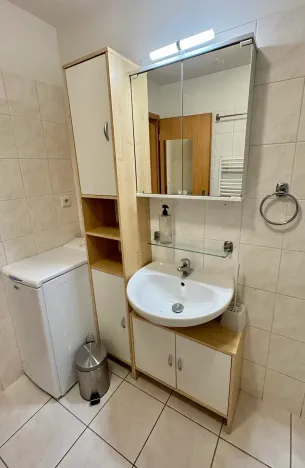 Pronájem bytu 1+kk, Brno, Trýbova, 36 m2