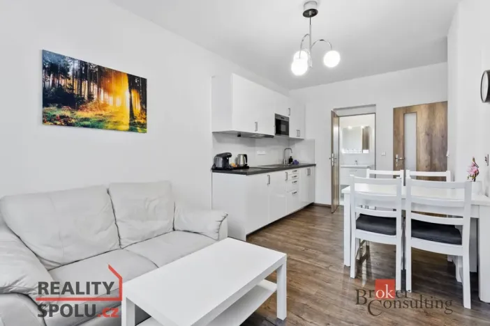 Prodej ubytování, Broumov, Malé náměstí, 298 m2