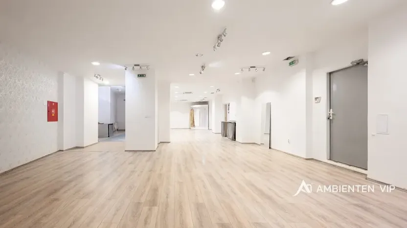 Pronájem obchodního prostoru, Brno, Masarykova, 176 m2