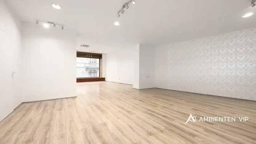 Pronájem obchodního prostoru, Brno, Masarykova, 176 m2