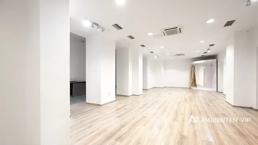 Pronájem obchodního prostoru, Brno, Masarykova, 176 m2