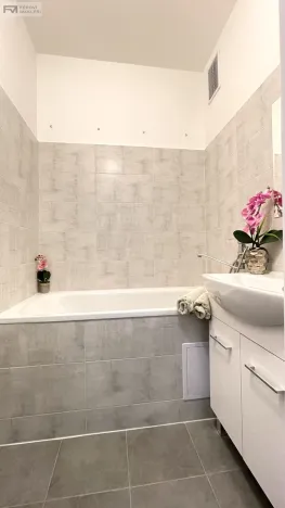 Pronájem bytu 1+1, Ostrava, Bulharská, 34 m2