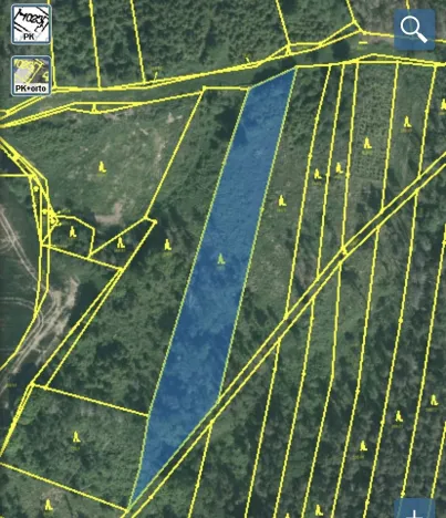 Prodej lesa, Blížejov - Lštění, 4481 m2