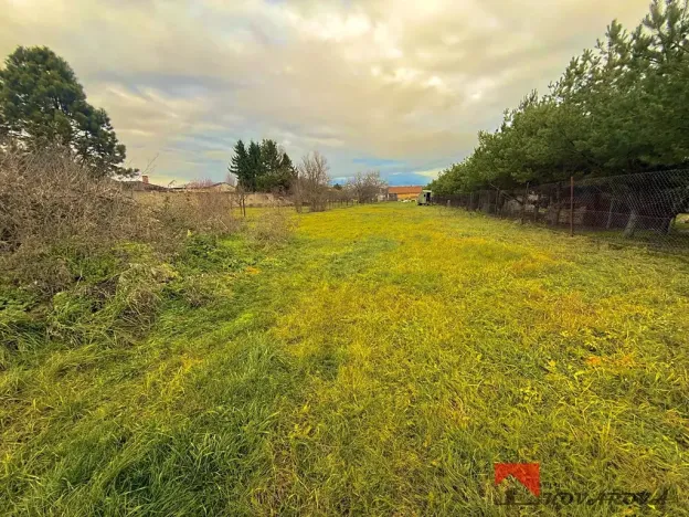 Prodej rodinného domu, Kostelec nad Labem, Kostelecká, 350 m2