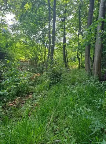 Prodej pozemku, Rožnov pod Radhoštěm, 126 m2