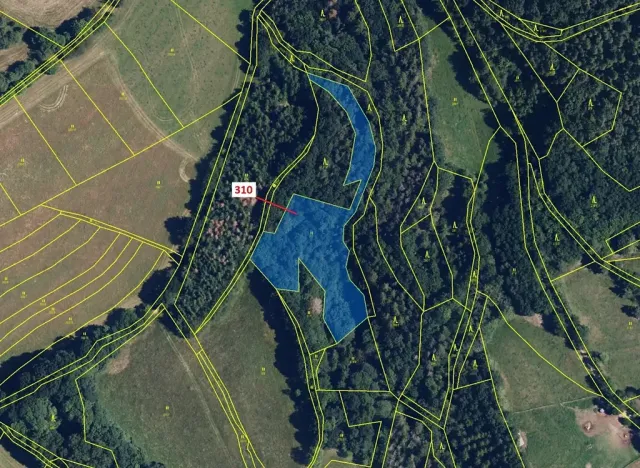 Dražba louky, Bouzov, 4766 m2