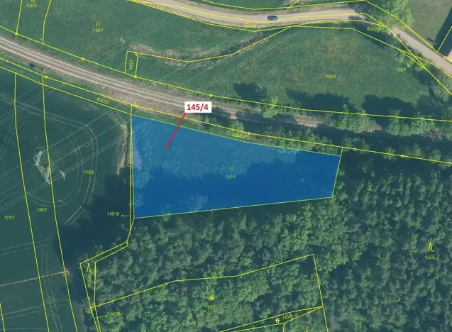 Dražba louky, Nerestce, 2865 m2