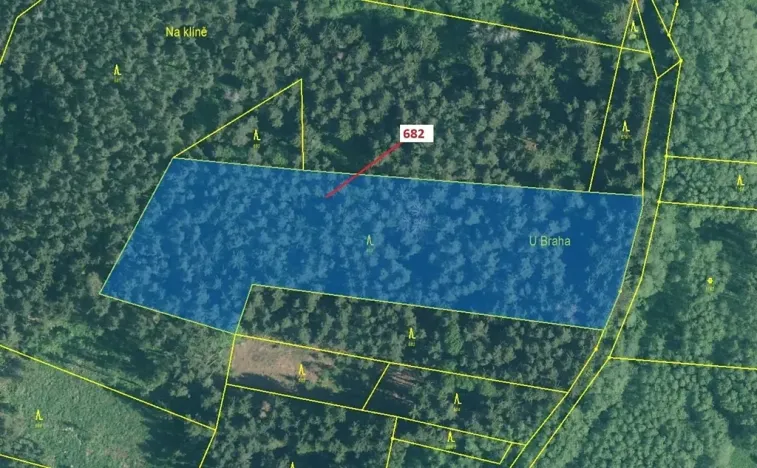 Dražba lesa, Kuřimany, 11584 m2