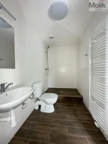 Pronájem bytu 1+1, Osek, Obránců míru, 36 m2