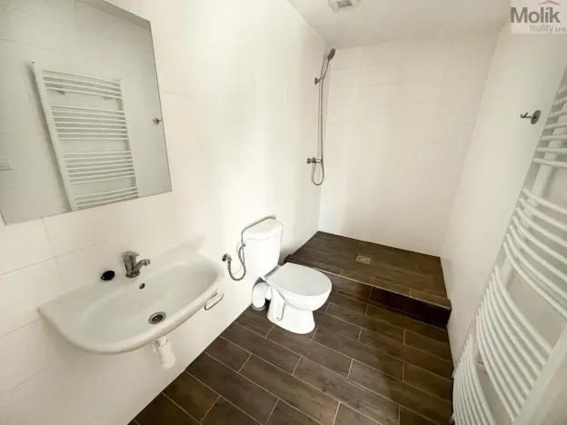 Pronájem bytu 1+1, Osek, Obránců míru, 36 m2