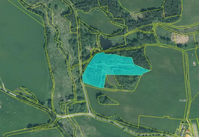 Prodej louky, Hošťka, 22911 m2