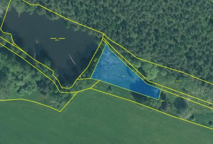 Prodej lesa, Rozvadov - Nové Domky, 5912 m2