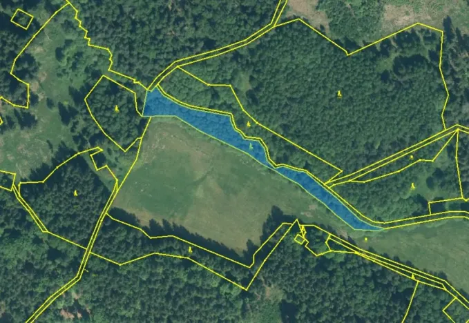 Prodej lesa, Rozvadov - Nové Domky, 5912 m2