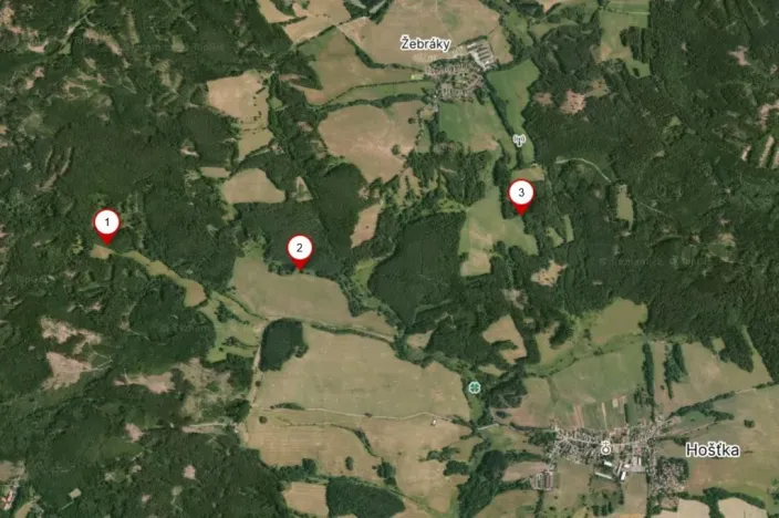 Prodej lesa, Rozvadov - Nové Domky, 5912 m2