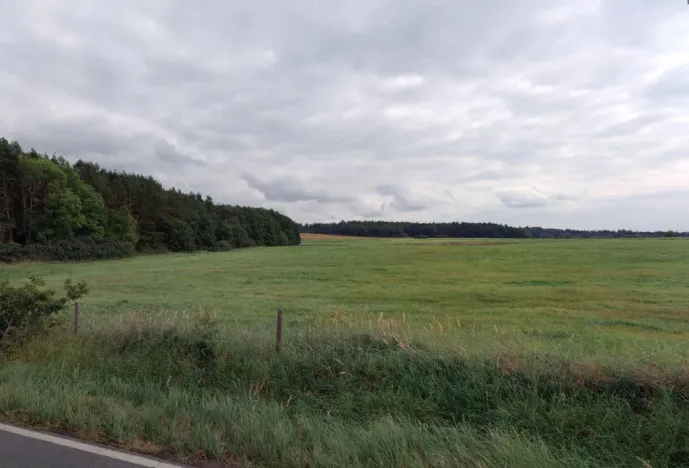 Prodej pole, Spálené Poříčí - Struhaře, 12536 m2