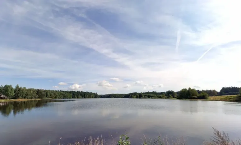 Prodej louky, Nová Bystřice - Blato, 9920 m2