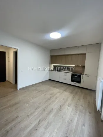 Pronájem bytu 2+kk, České Budějovice, Hálkova, 37 m2