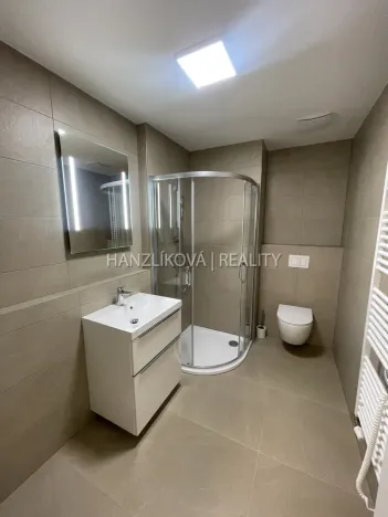 Pronájem bytu 2+kk, České Budějovice, Hálkova, 40 m2